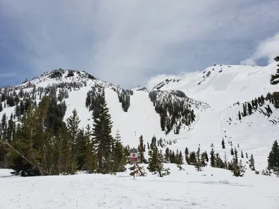 20190517_121233 (Large).jpg